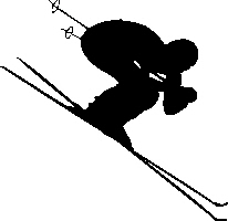 1028-Skier