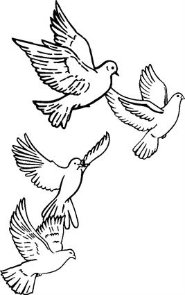 4 Doves in Flight 001